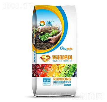 �ЙC(j��)����-ӭ��-���|�ʘI(y��)