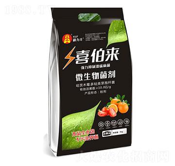 ΢�������-ϲ����-�T���S����