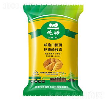 �����طN��-��ķ-���ݳ���