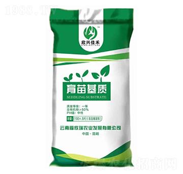 ������|-���d�Ѻ�-������