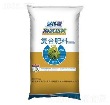 ������͏ͺϷ���15-15-15-���峬��-�{����