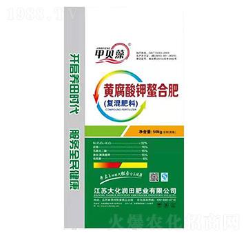 �S��������Ϸ�-��ؐ��-�󻯝�(r��n)��