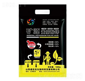 �VԴ�S�����-ʢ��������