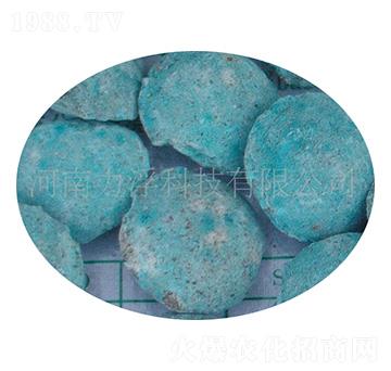 �ؙ������ؘ��-�����Ƽ�