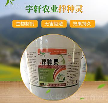 ��N�`-��܎�r�I(y��)