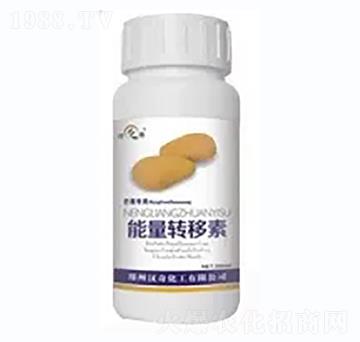 â�������D(zhu��n)����-�h�滯