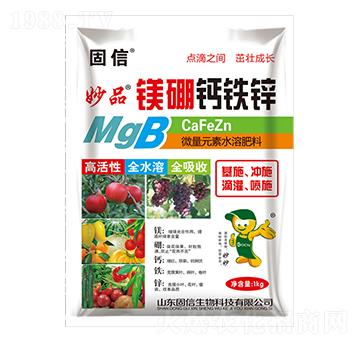 �V���}�F�\-��������