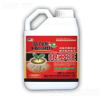 ������-����ʘI(y��)