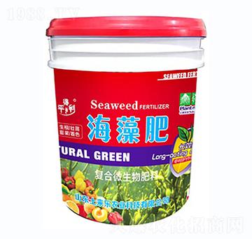 �ͺ�΢���ﺣ���-�v���ʘI(y��)