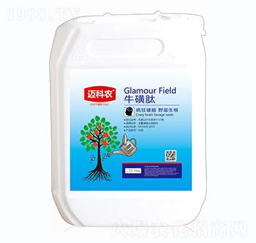 ������-�~���r(n��ng)-�Έ�����