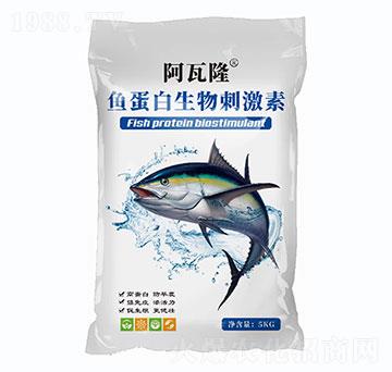 �~��������̼���-����¡-���r��