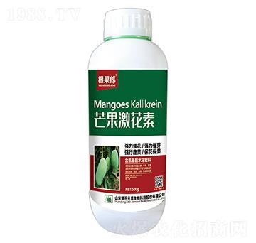 500gâ��������-������-����Ԫ��