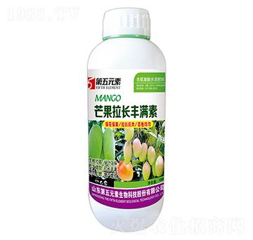 â�����L�S�M��-����Ԫ��