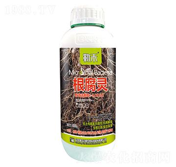 �����`-�պ�-����Ԫ��