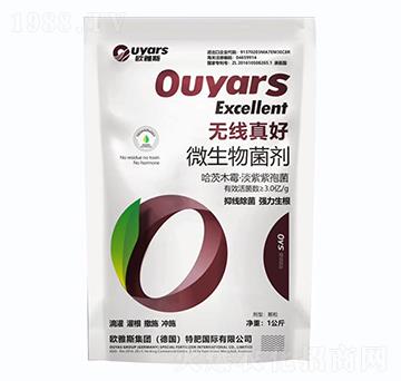 �o(w��)�����΢�������-�W��˹