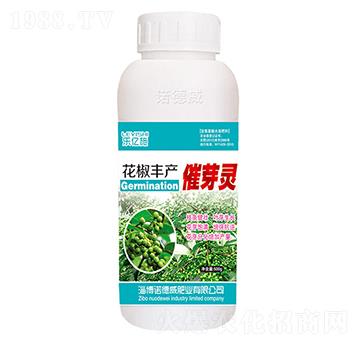 �����S�a(ch��n)��ѿ�`-�Z����