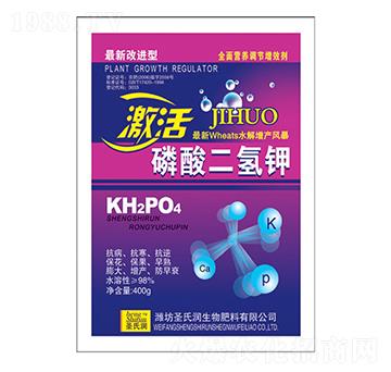 ������������-�����_(d��)