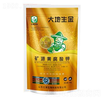 �VԴ�S�����-�������-�|������