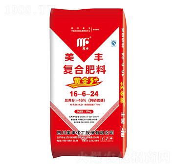 ��������ͺϷ���16-6-24-���S-�F���r�I(y��)