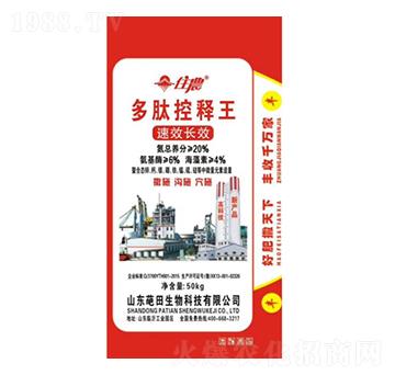 ���Ŀ����-��������