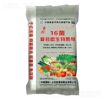 16���ͺ�΢�������-�_Դ-��������