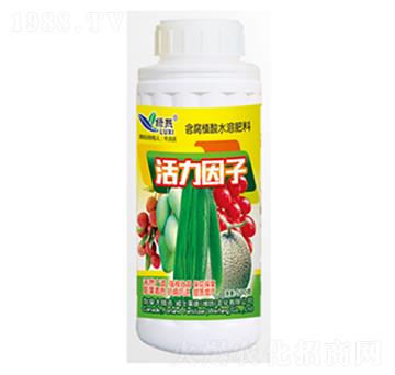 ��������-�G��-��ʿ�R��