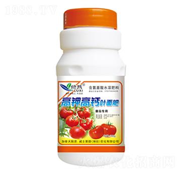 ��⛸��}�~���-�G��-��ʿ�R��