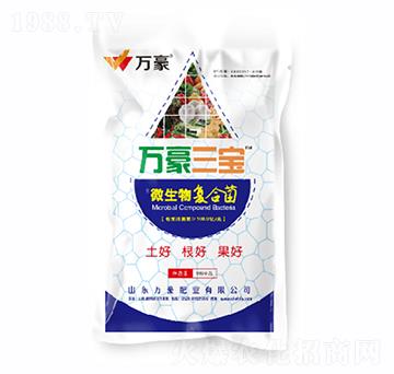 ΢�����(f��)�Ͼ�-�f(w��n)������-�f(w��n)��