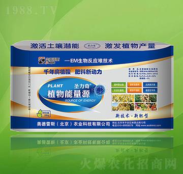 20kgֲ������Դ-ʥ����-�W����˹