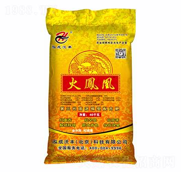 ���P���䷽��-����̩