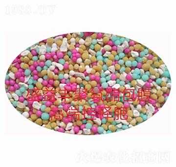 ��ጷ�-ʢ���S