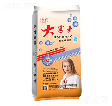 �󸻺�С�����÷�18-22-8-�ŝ�