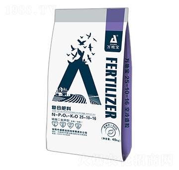 ���������͸����ͺϷ���25-10-16-�f�،�-�r������