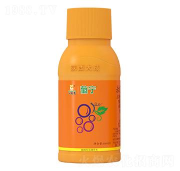 0.5%��ù���籽¡-�ό�-�������