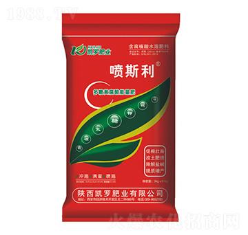 �����S����������-�P�_�ʘI(y��)