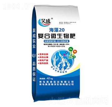 �ͺ�΢�����-����20-껳Ɍ��I(y��)