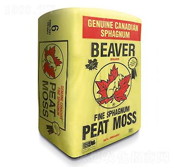 Beaver-�ָ���