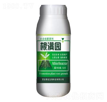 ��ϼ�������-���M�@-