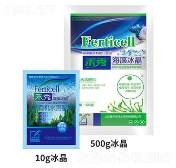 ���㡤�������-���S