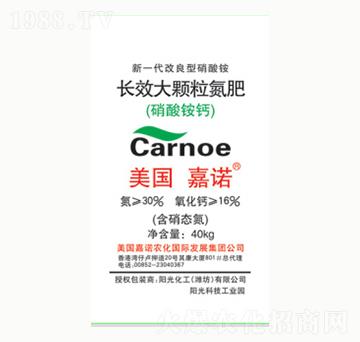 �LЧ���w������-ꖹ⻯��