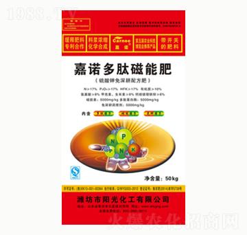 ���Z���Ĵ��ܷ�-ꖹ⻯��