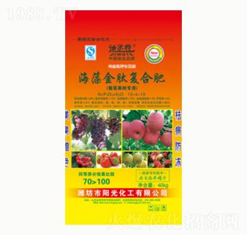 ������ď�(f��)�Ϸ�-ꖹ⻯��