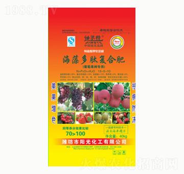 ������ď�(f��)�Ϸ�-�(y��ng)�⻯��