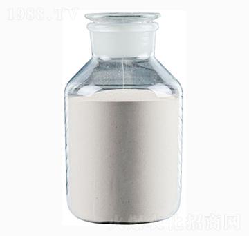 ���W���ό��þ���-�������