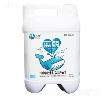 �{(l��n)�L�����}�V-�儓(chu��ng)