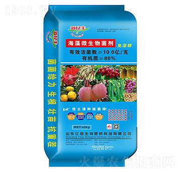 ����΢�������-�|������