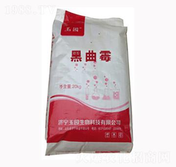 ����ù-�L(zh��ng)̩����