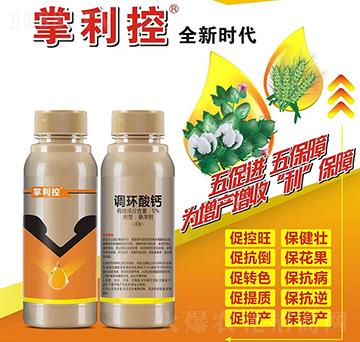 5%�{(di��o)�h(hu��n)���}-������-��⻯��