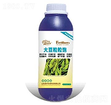 �������-�������