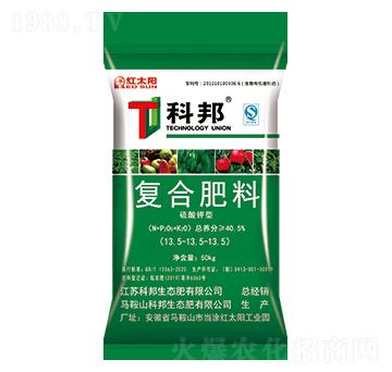 ������͏�(f��)�Ϸ���13.